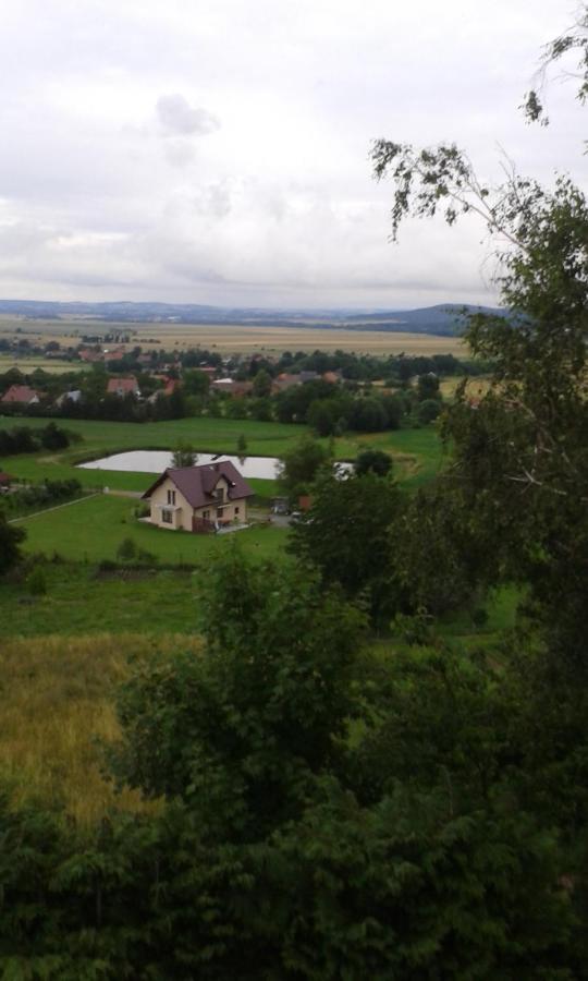 Dom Wypoczynkowy Pod Fortami Srebrna Gora Bagian luar foto
